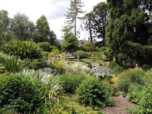 Botanical Garden Hobart